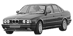 BMW E34 P1428 Fault Code